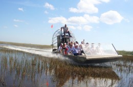 Les Everglades, entrez au royaume des alligators