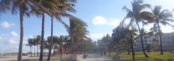 Miami, l’envers du décor